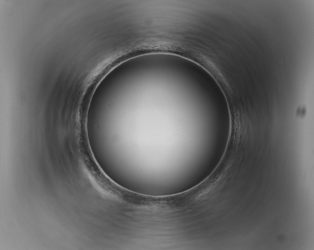 X0000114010674200910021343