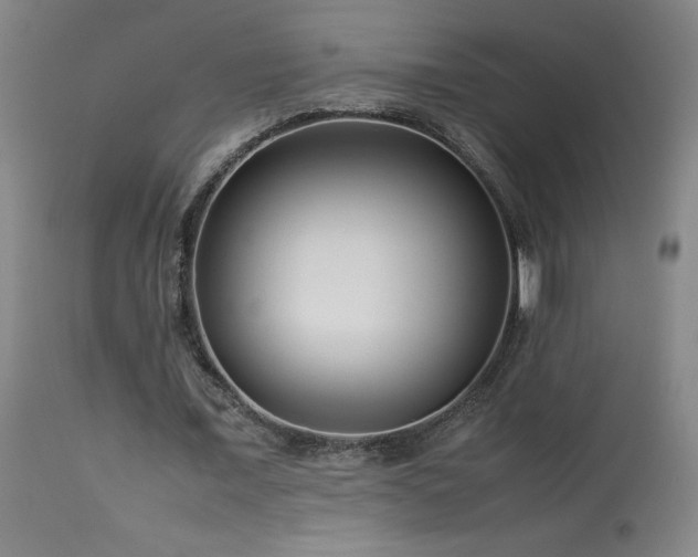 X0000114010675200910021343