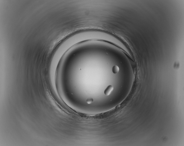 X0000114010677200910021343