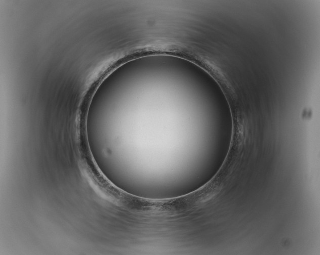 X0000114010678200910021343
