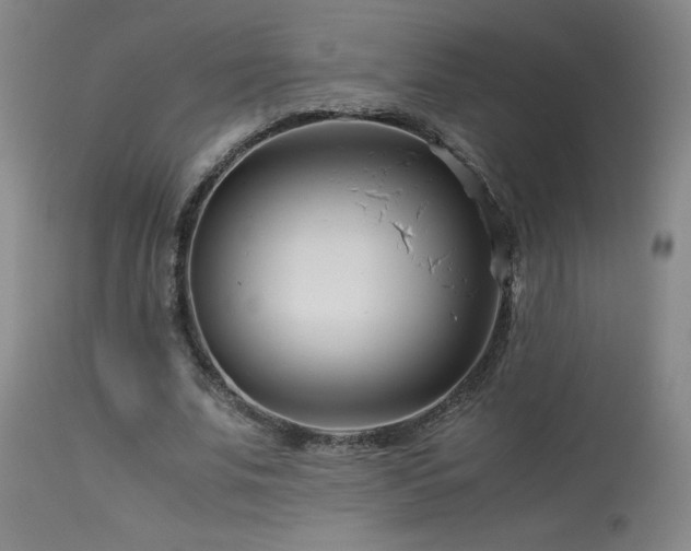 X0000114010679200910021342