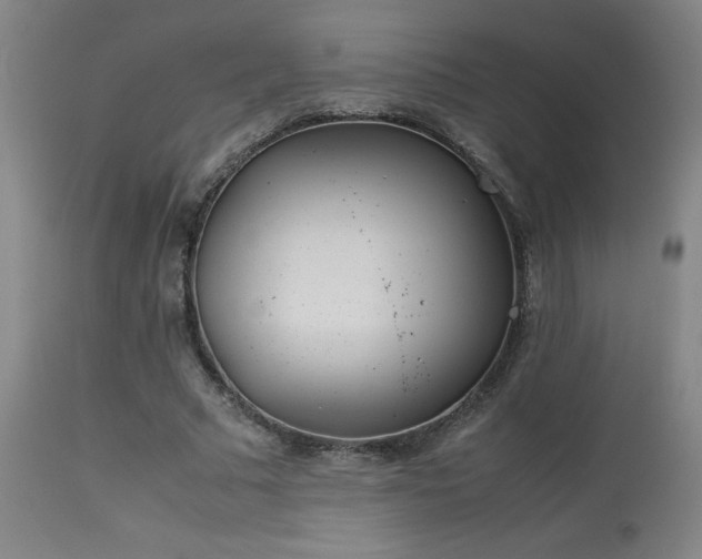 X0000114010681200910021342