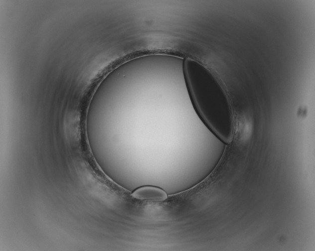 X0000114010684200910021342