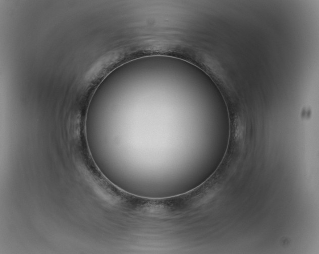 X0000114010685200910021342