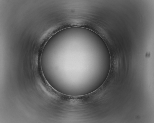 X0000114010686200910021342