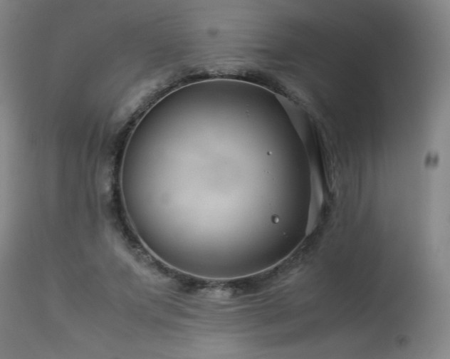 X0000114010687200910021342