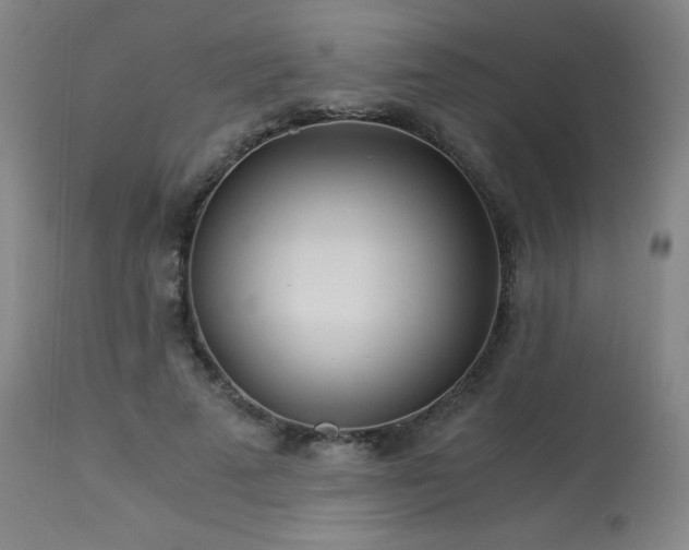 X0000114010689200910021342
