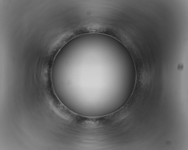 X0000114010690200910021342