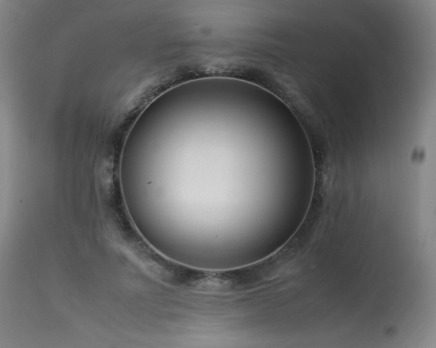 X0000114010691200910021342