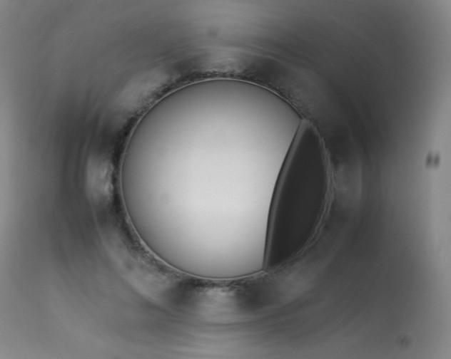 X0000114010692200910021342