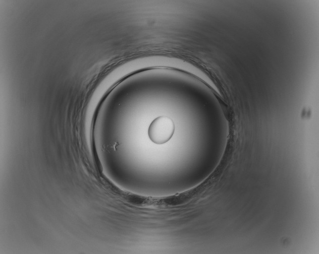 X0000114010693200910021342