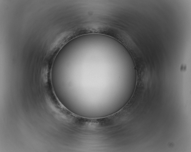 X0000114010694200910021342