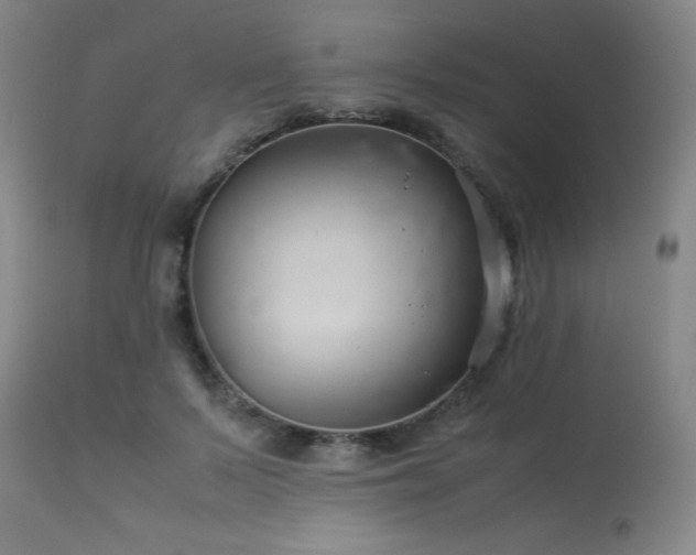 X0000114010695200910021342