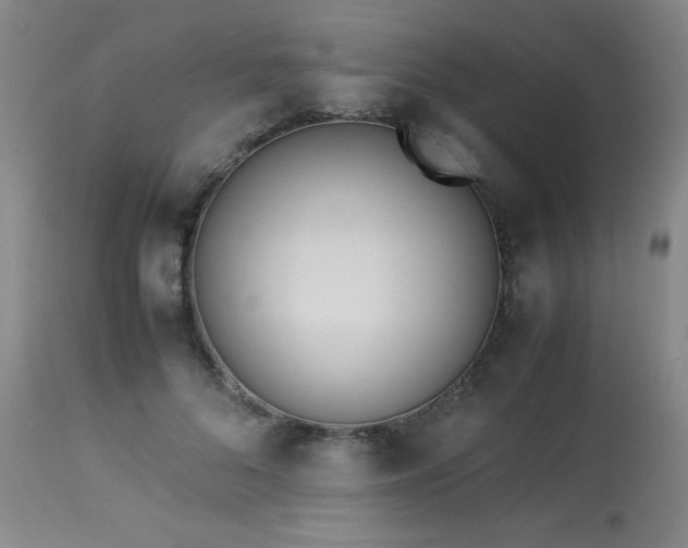 X0000114010696200910021342