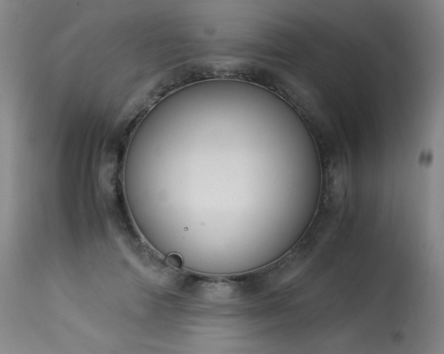 X0000114010698200910021342