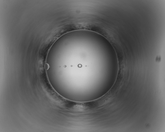 X0000114010699200910021342