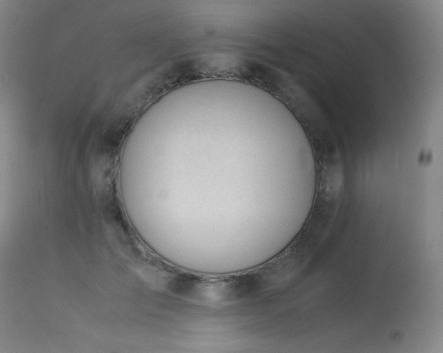 X0000114010701200910021342