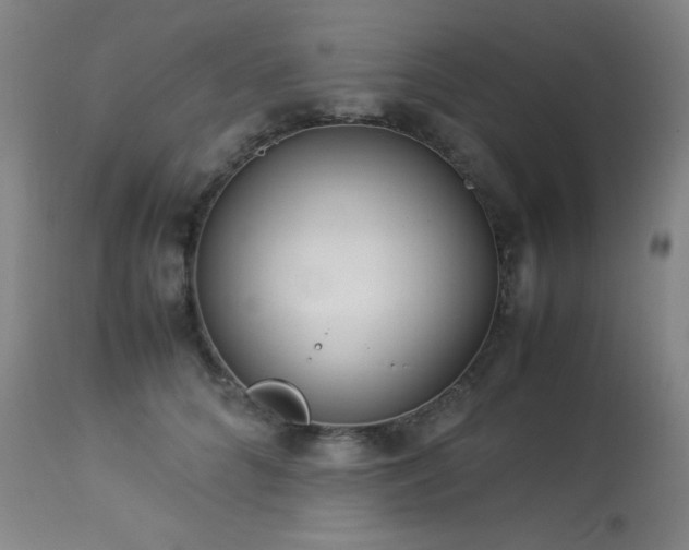 X0000114010704200910021342