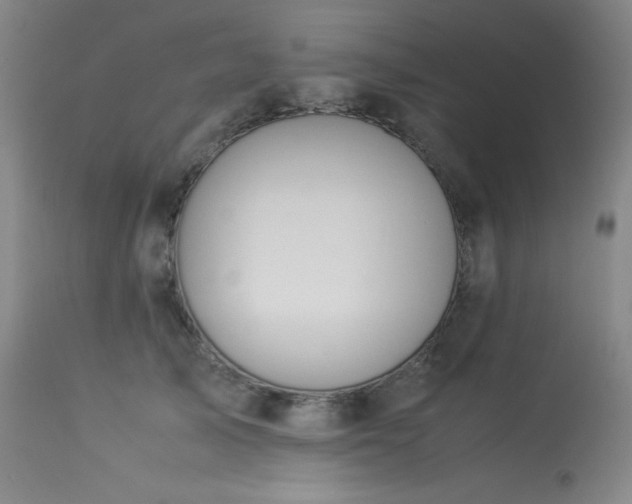 X0000114010705200910021342