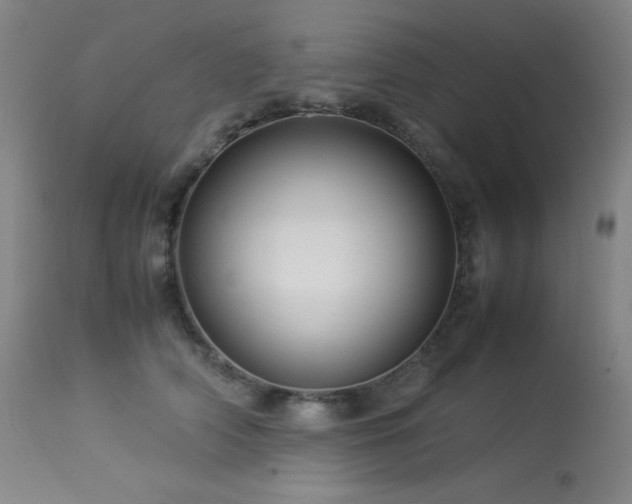 X0000114010706200910021342