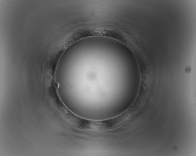 X0000114010707200910021342