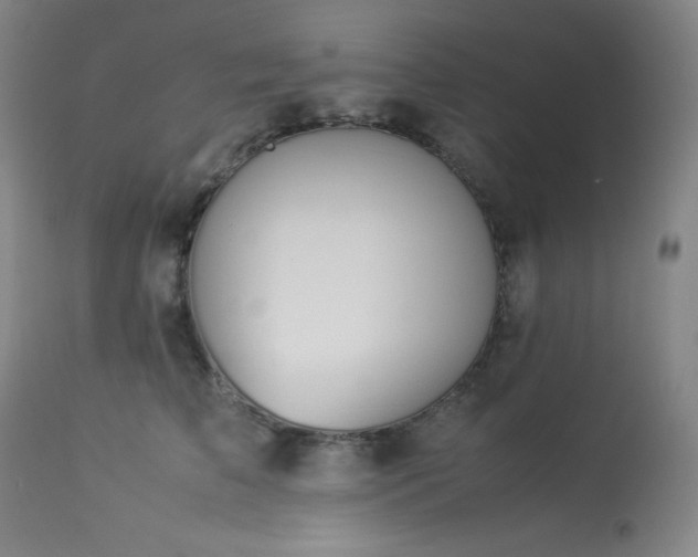 X0000114010709200910021342