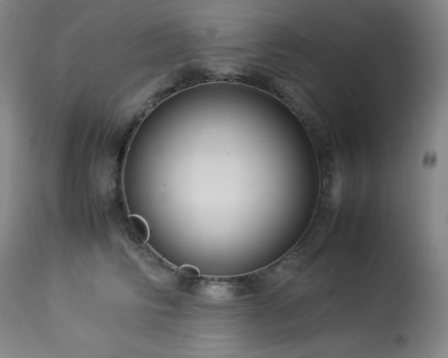 X0000114010710200910021342