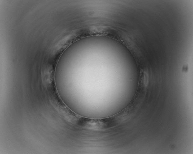 X0000114010712200910021342