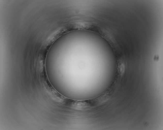 X0000114010716200910021342