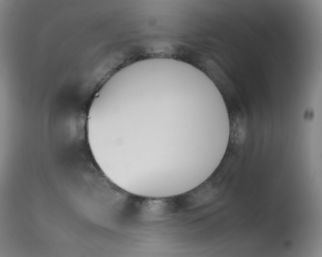 X0000114010717200910021342
