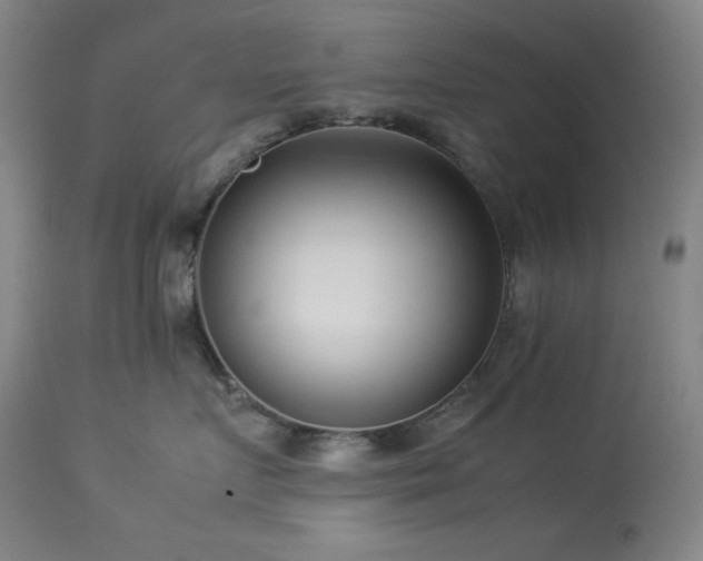 X0000114010719200910021342