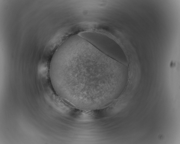 X0000114010720200910021342