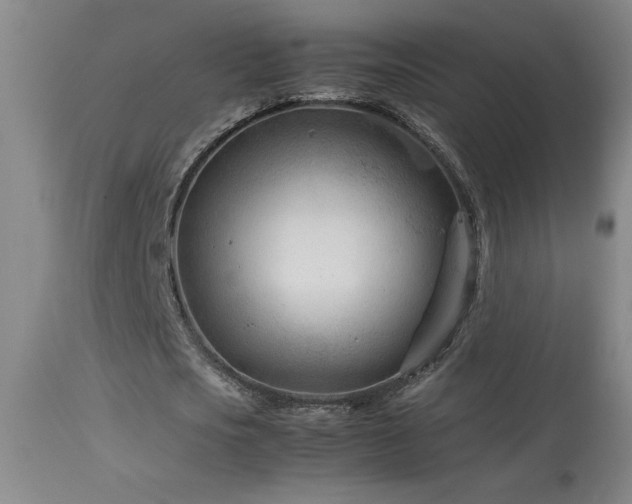 X0000114010721200910021341