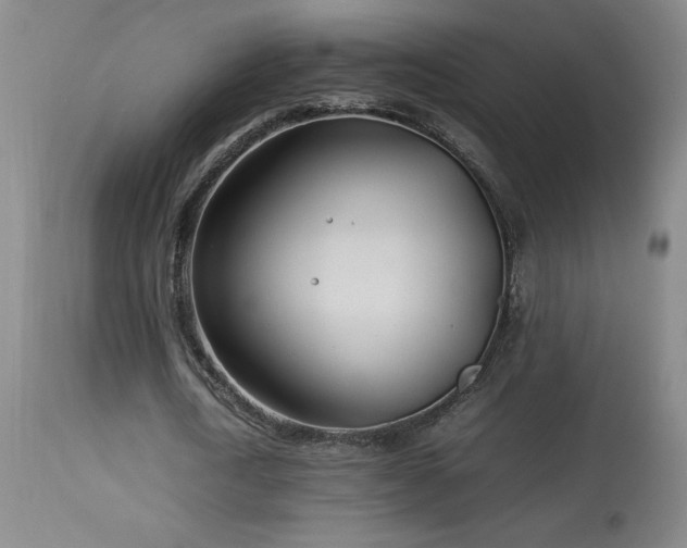 X0000114010722200910021341