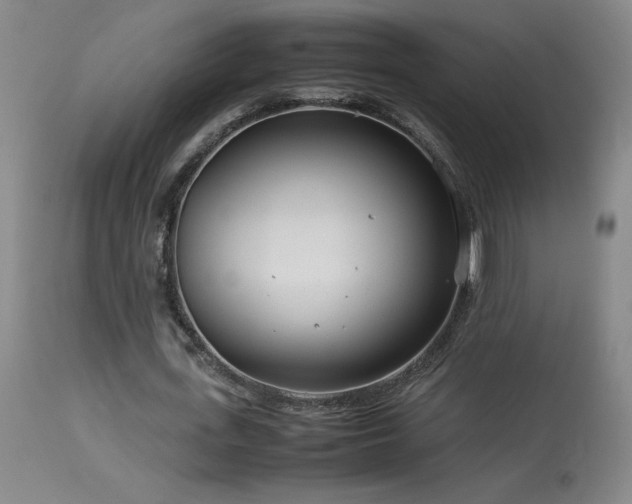 X0000114010723200910021341