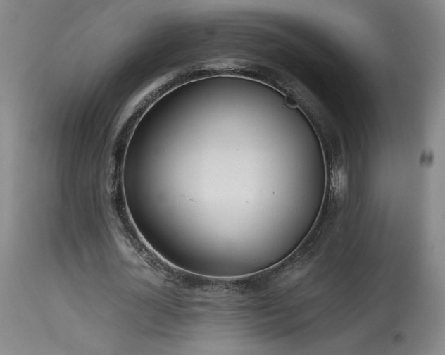 X0000114010724200910021341