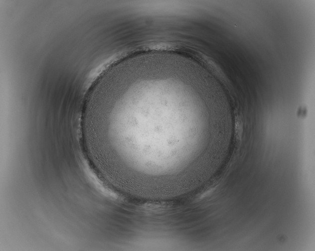 X0000114010725200910021341