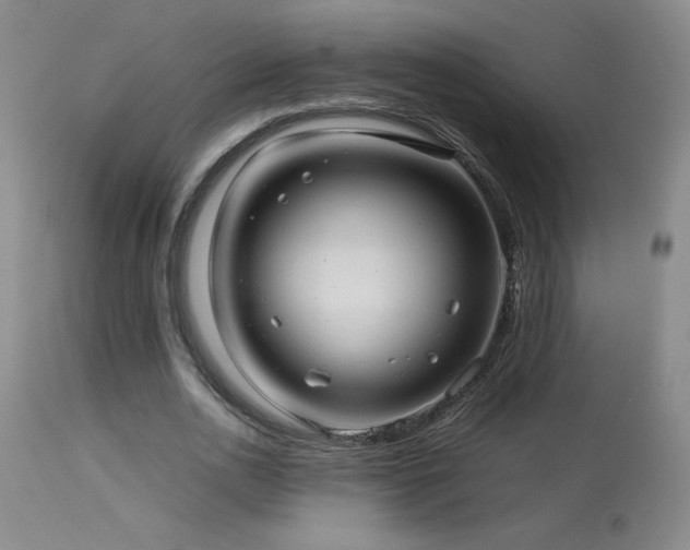 X0000114010726200910021341