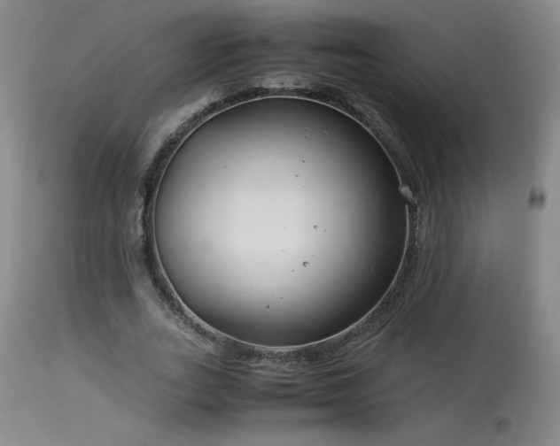 X0000114010727200910021341