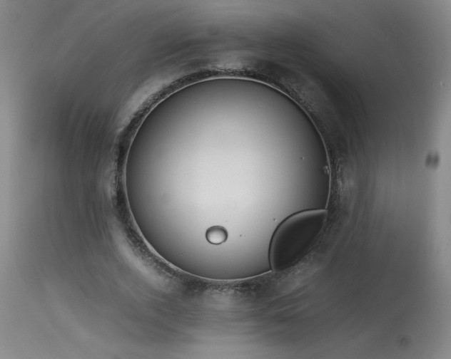 X0000114010728200910021341