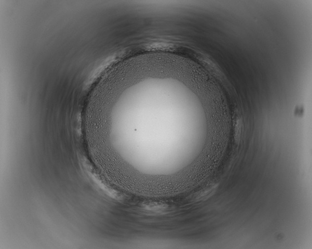 X0000114010729200910021341