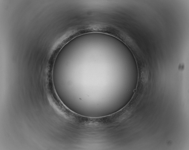 X0000114010730200910021341