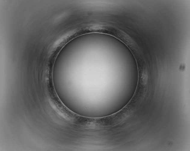 X0000114010732200910021341