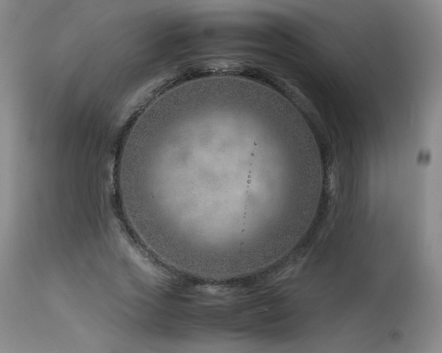 X0000114010733200910021341