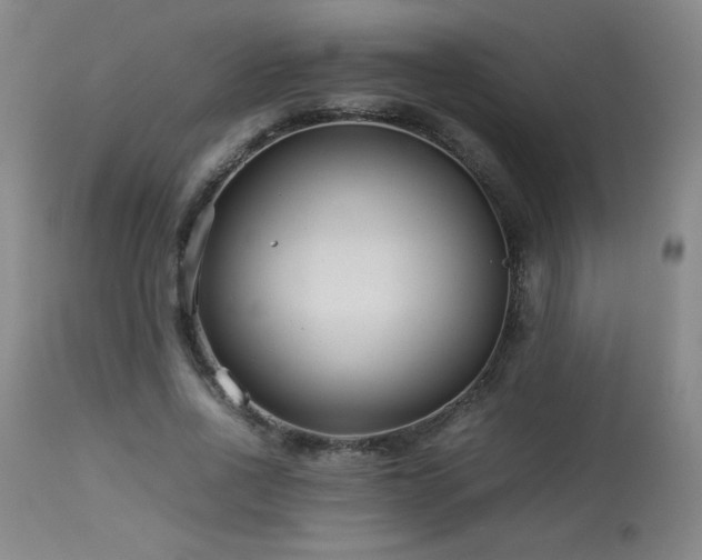 X0000114010734200910021341