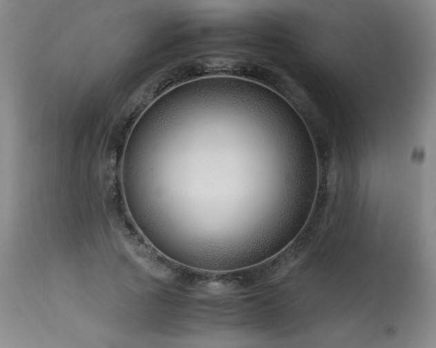 X0000114010737200910021341