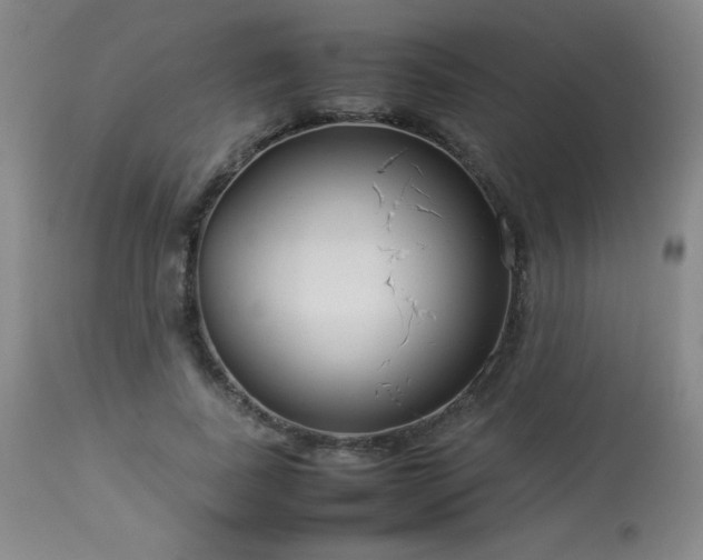 X0000114010739200910021342