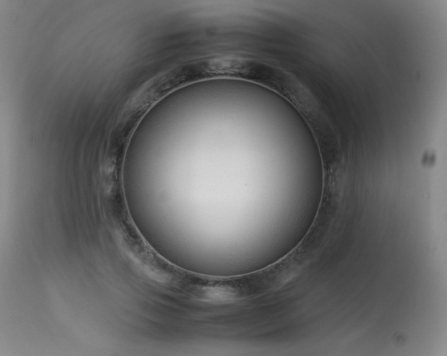 X0000114010741200910021342