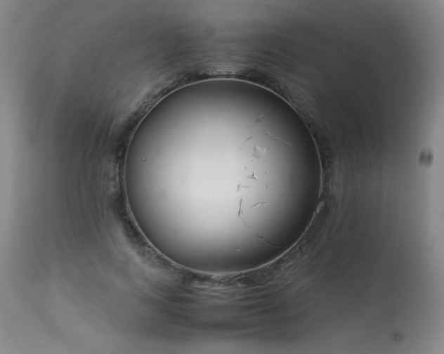 X0000114010743200910021342