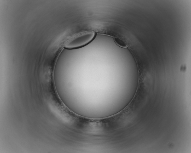 X0000114010744200910021342